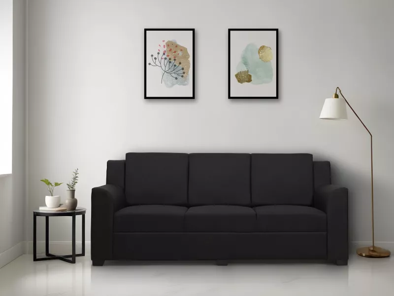 Erica Upholstered 3 Seater Sofa in Charcoal Color